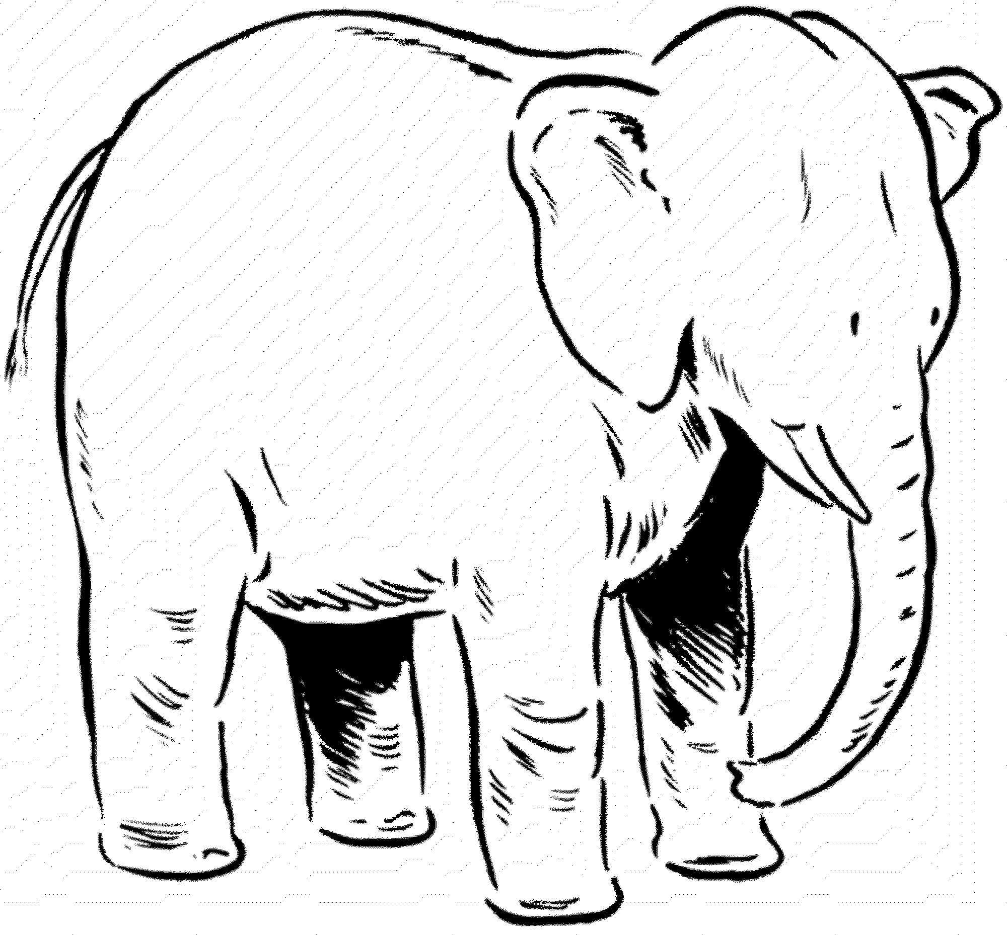print  download  teaching kids through elephant coloring