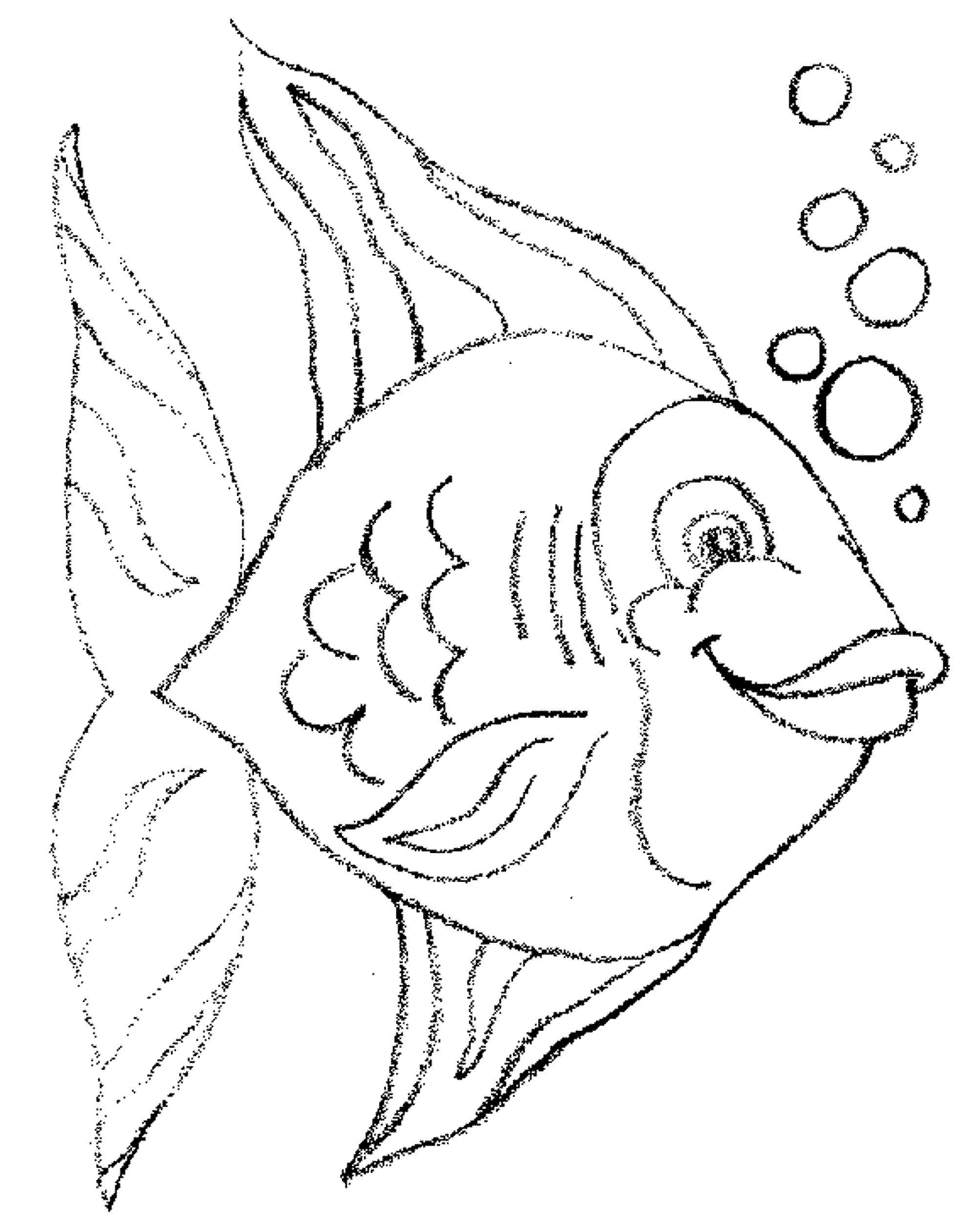 Print Download Cute Educative Fish Coloring Pages Free Trout