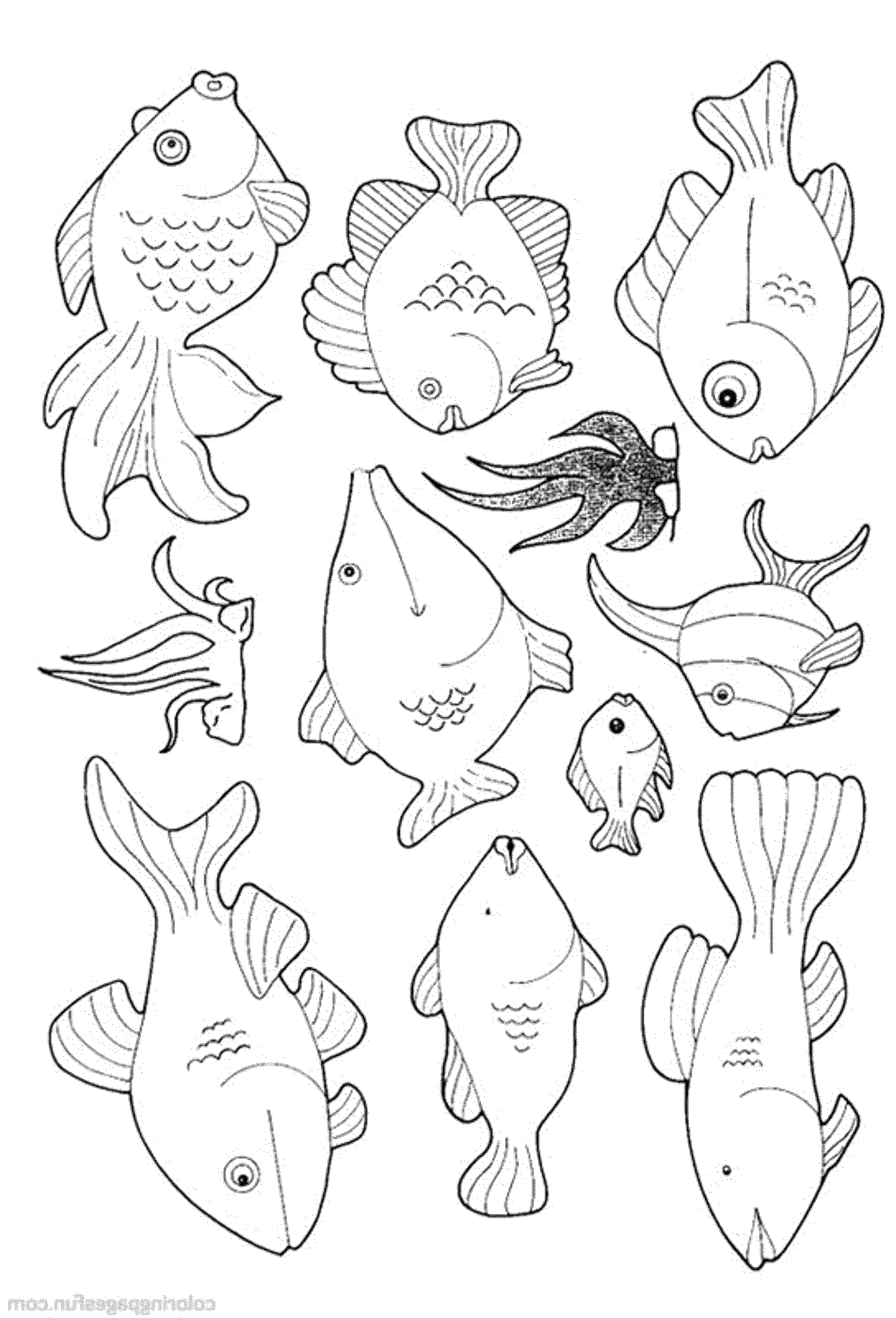 Free Printable Fish Pictures