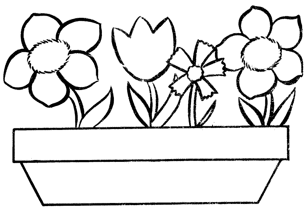 Download Print & Download - Some Common Variations of the Flower ...