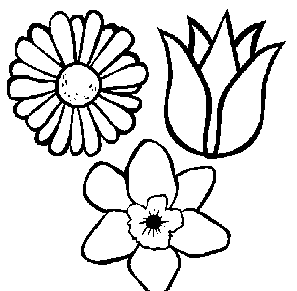 Flower Coloring Page For Toddlers - 144+ SVG Images File