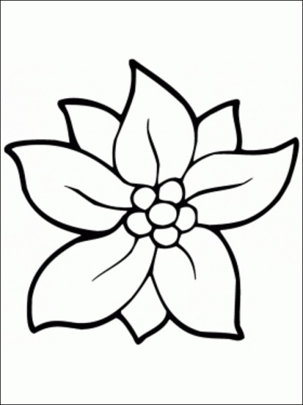 Print Download Some Common Variations Of The Flower Coloring Pages Print Download Some Common Variations Of The Flower Coloring Pages