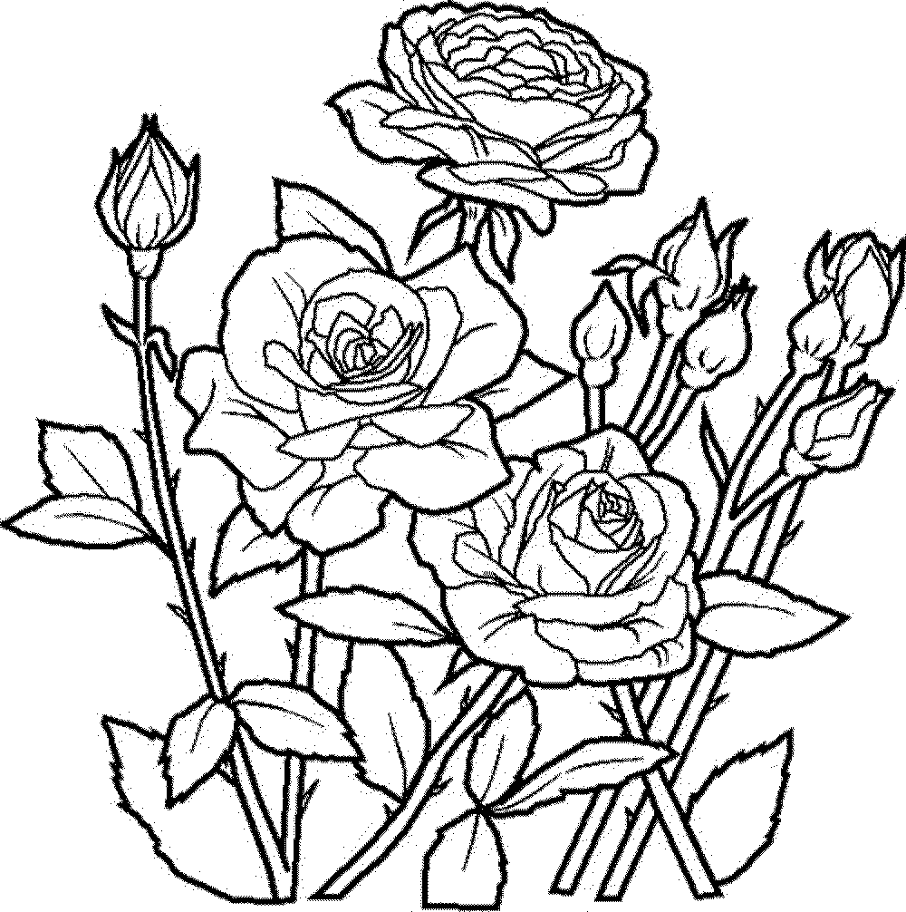 Download flower-mandala-coloring-pages | | BestAppsForKids.com