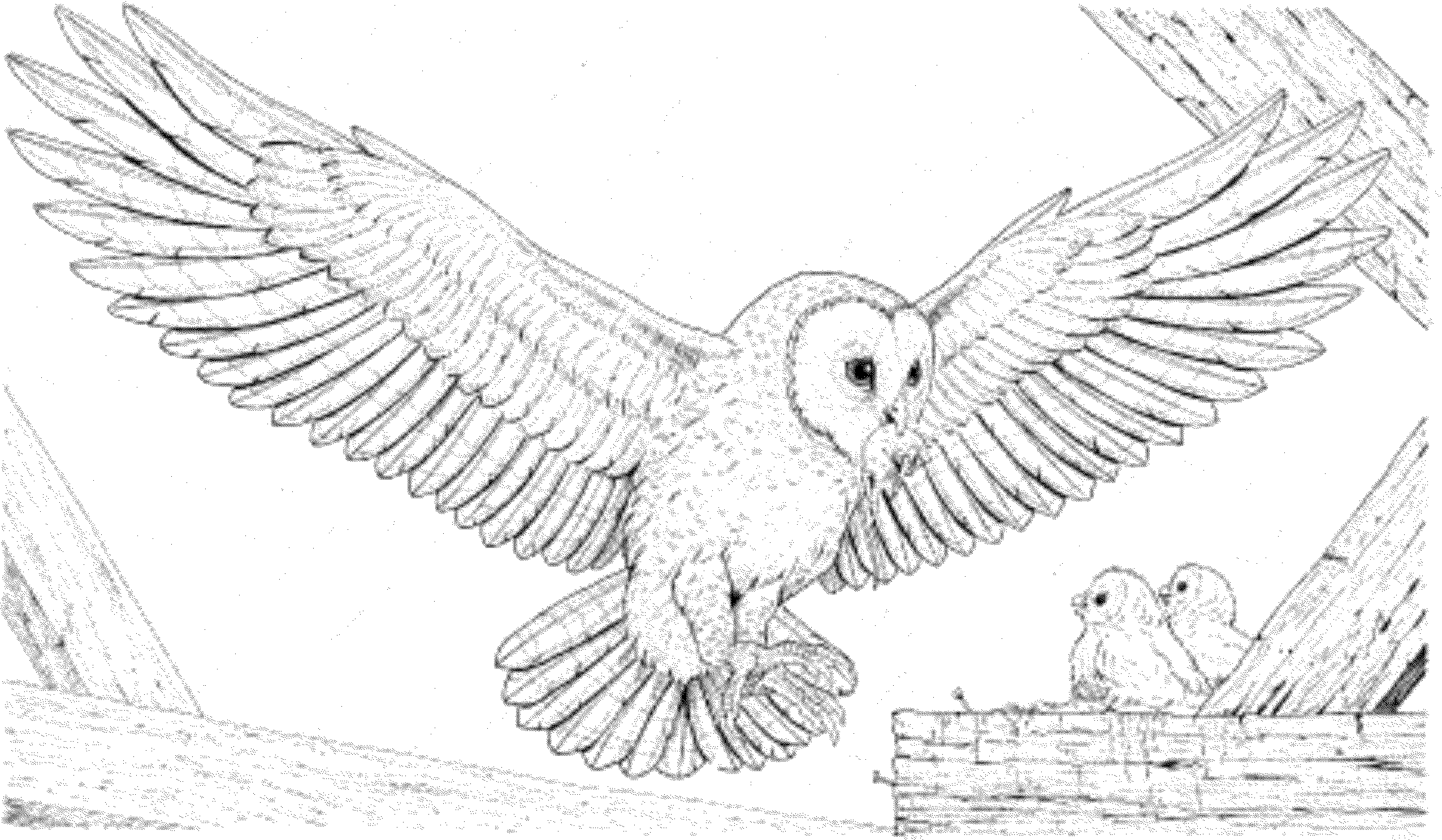 Print & Download - Owl Coloring Pages for Your Kids