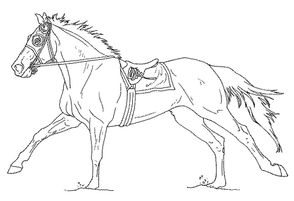 Download Fun Horse Coloring Pages for Your Kids Printable