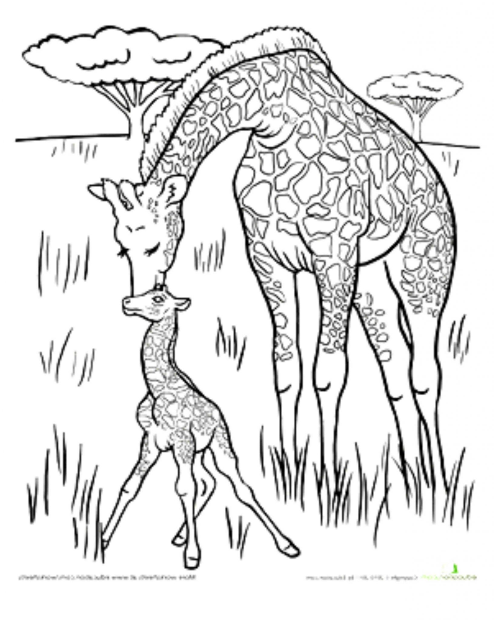 Download Print & Download - Giraffe Coloring Pages for Kids to Have Fun