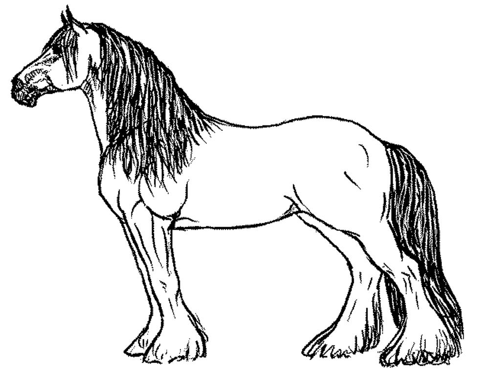 horse-printables-coloring-pages-printable-world-holiday