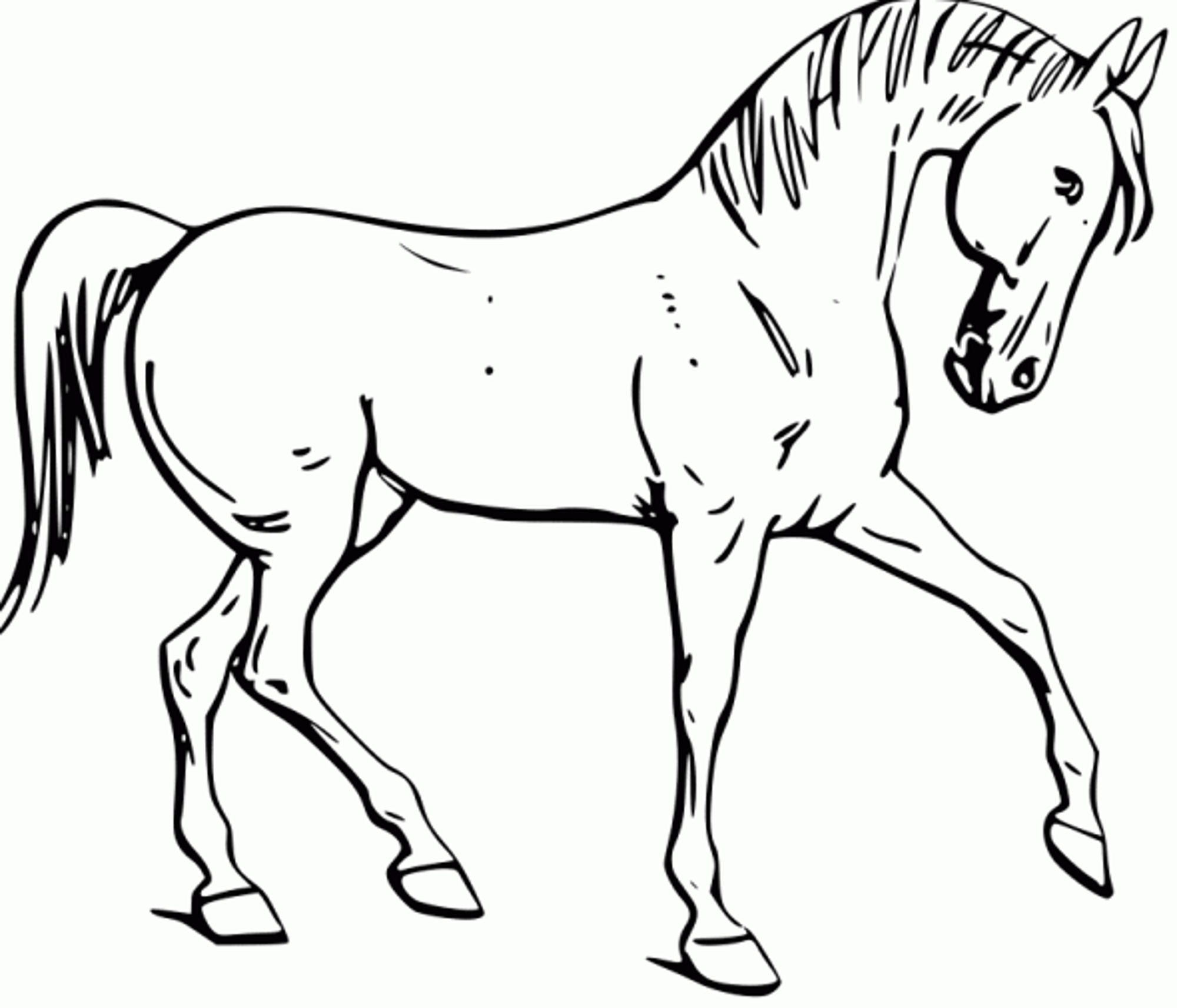 Horses To Color 3