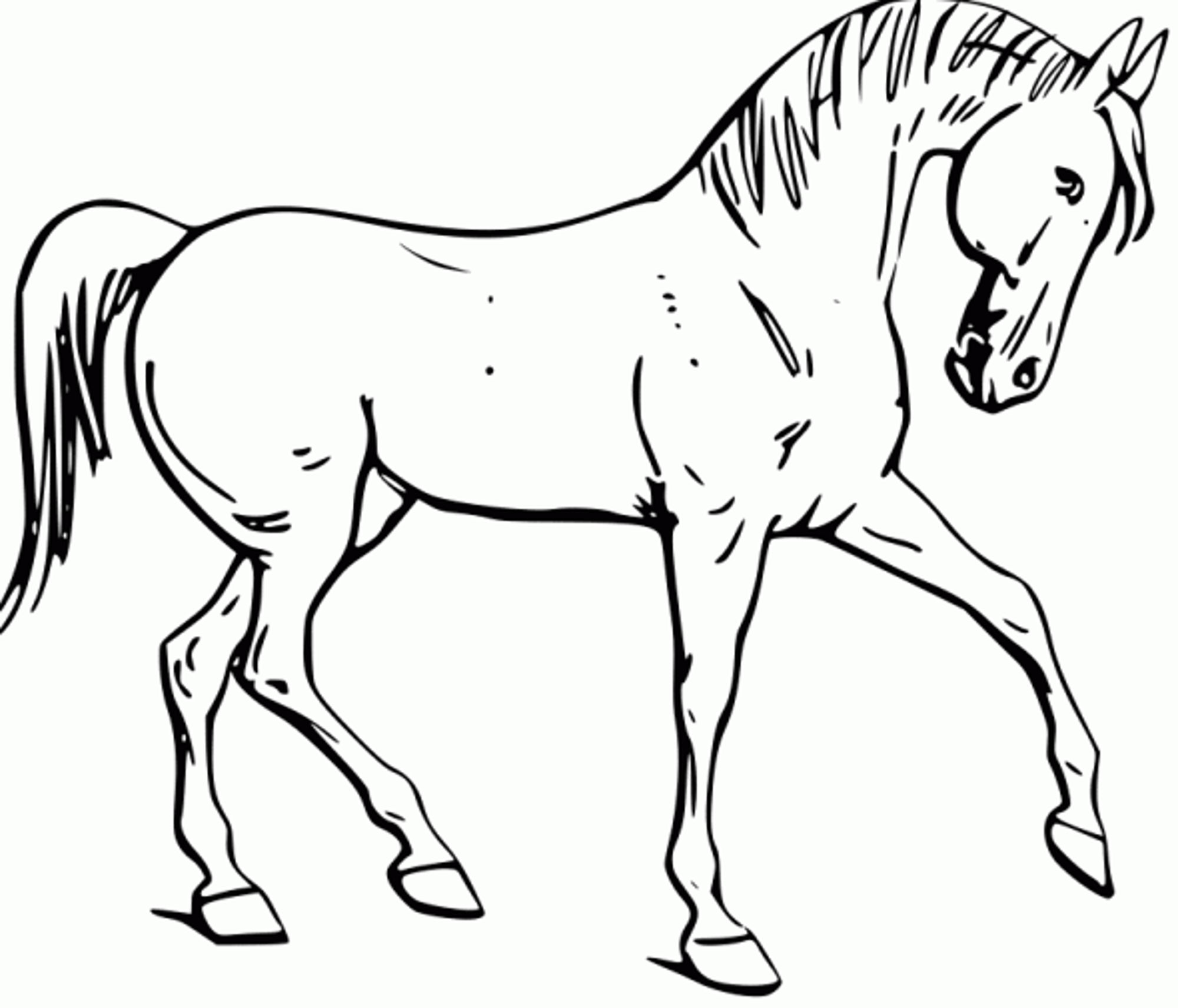 Printable Horse Coloring Pages Printable World Holiday