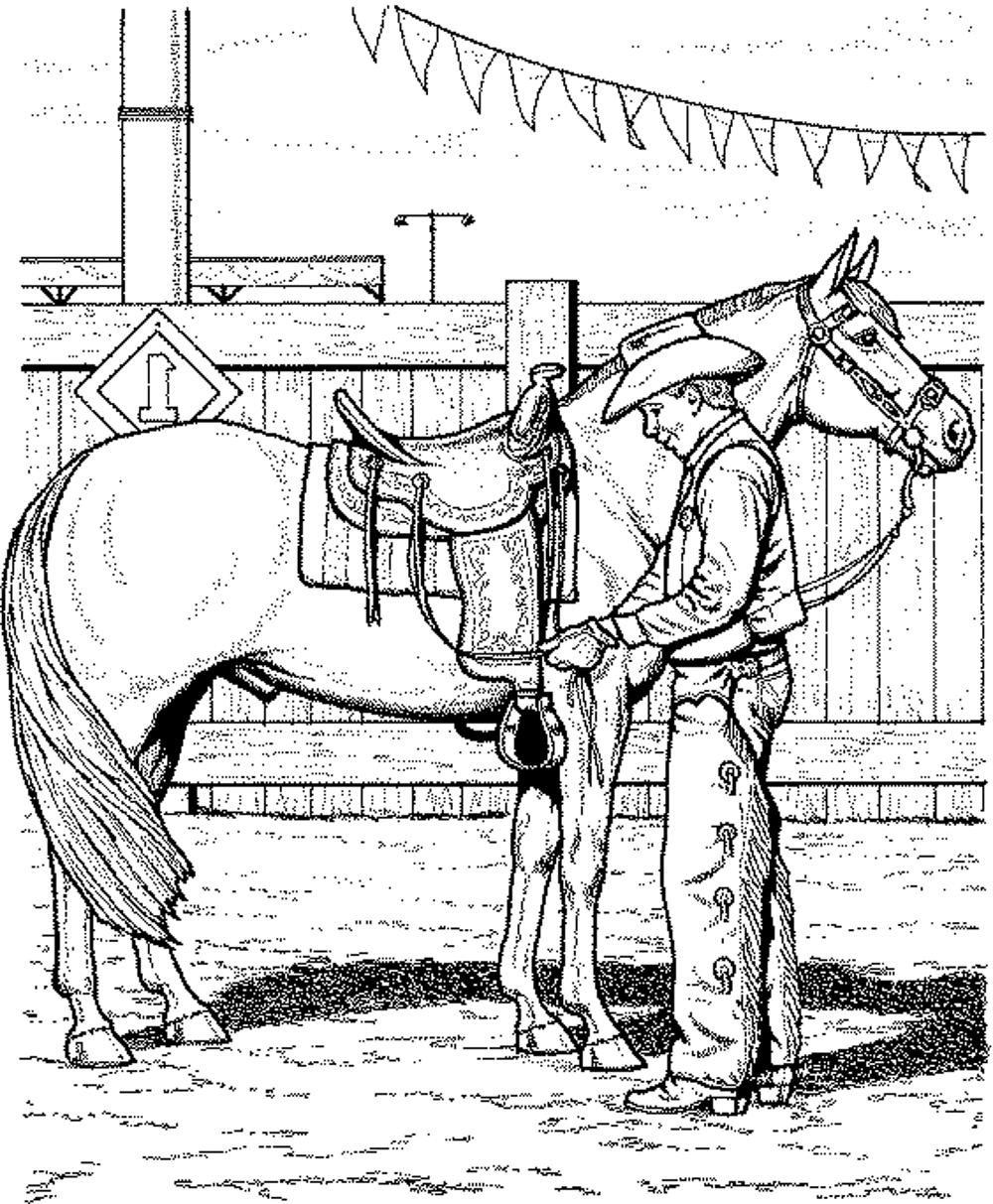 Download Fun Horse Coloring Pages for Your Kids Printable