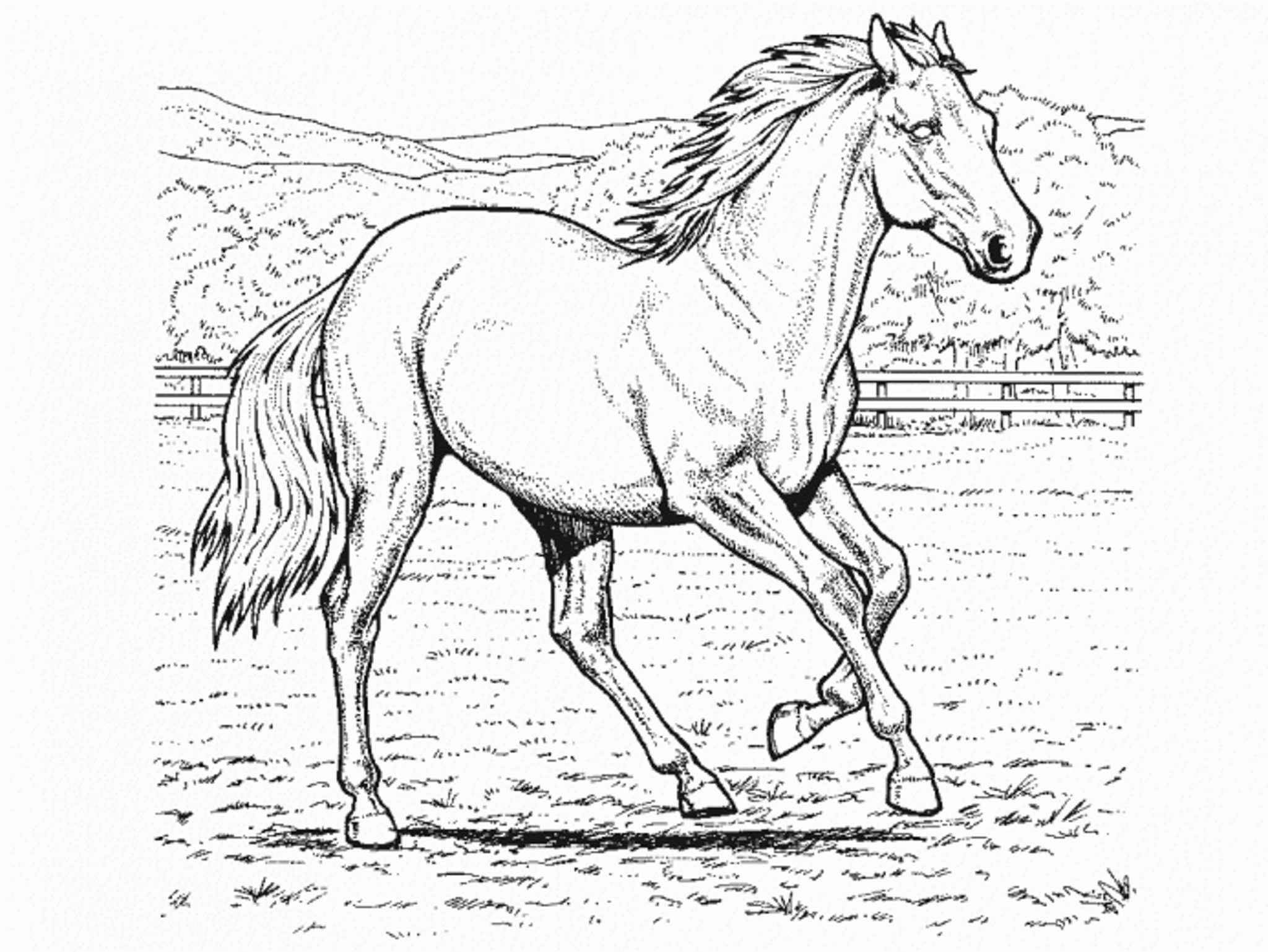 horse coloring pages for kids     BestAppsForKids.com