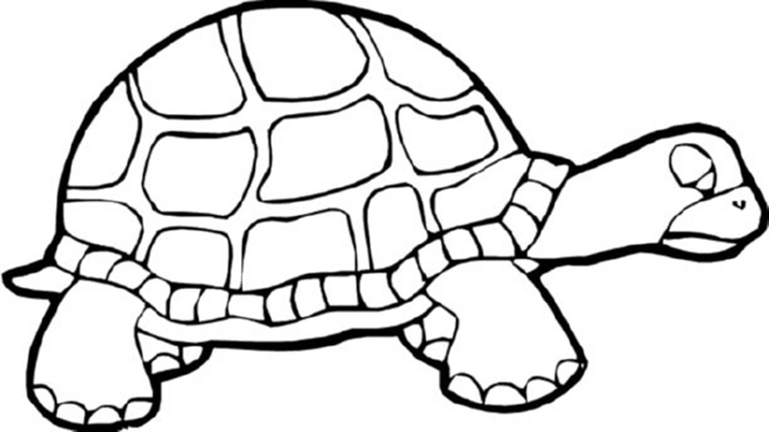 Print & Download - Turtle Coloring Pages as the Educational Tool