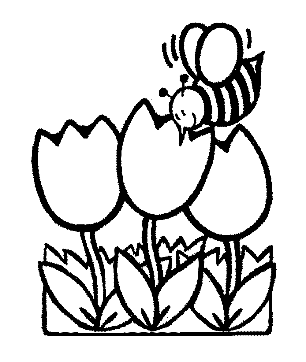 printable coloring pages flowers