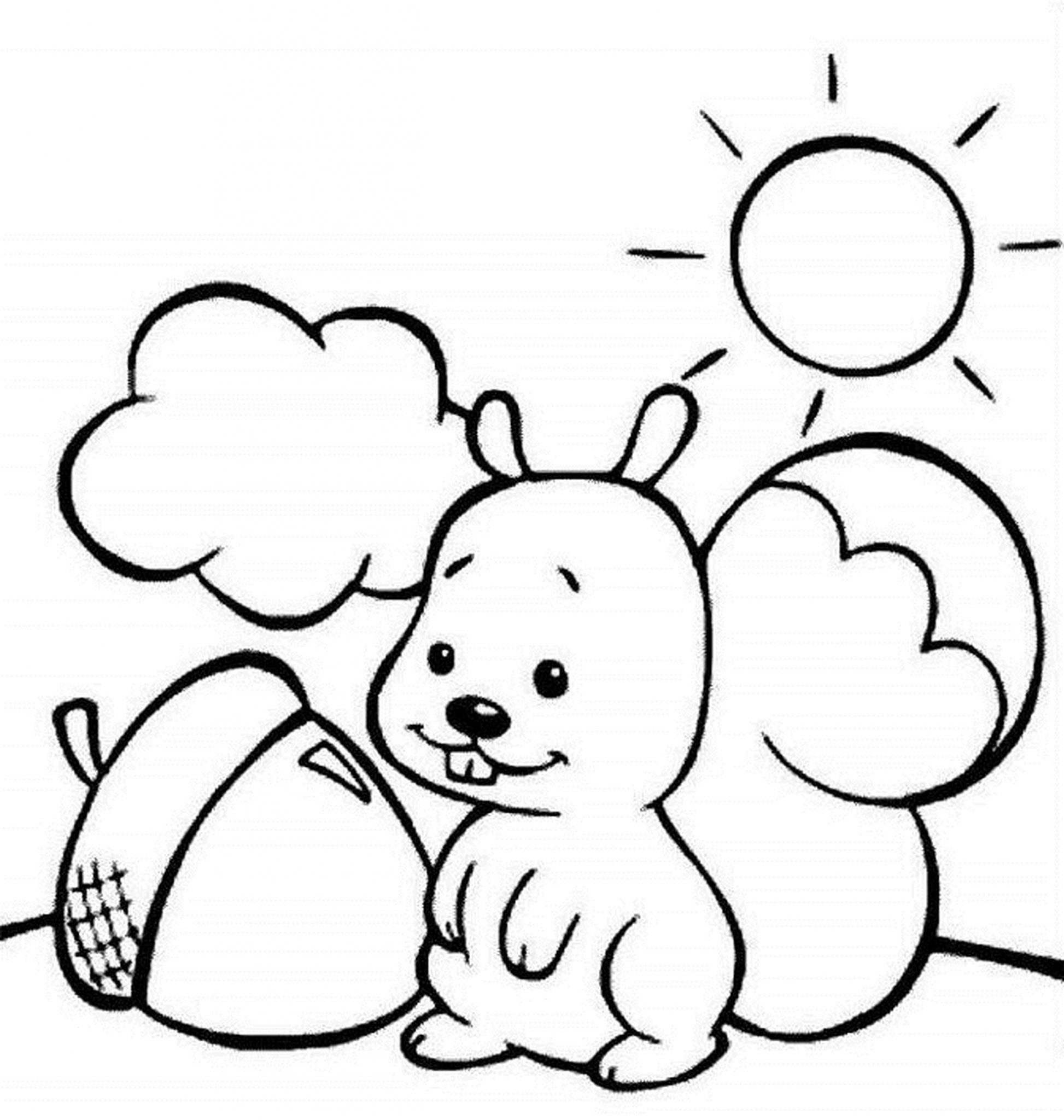 printable coloring pages kids squirell