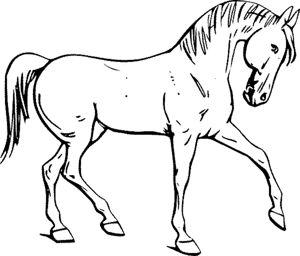 Fun Horse Coloring Pages for Your Kids Printable