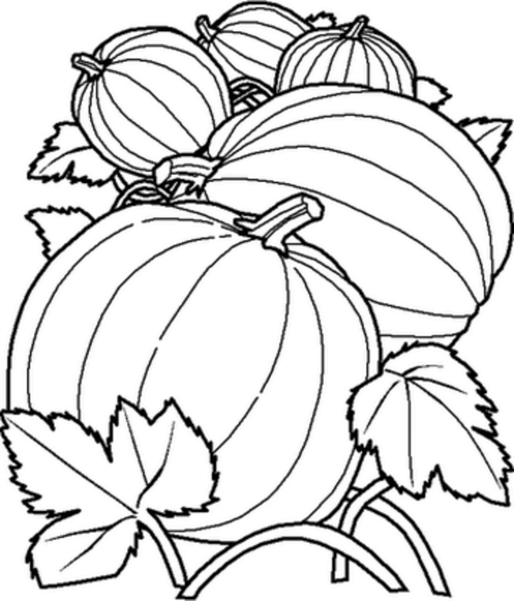 print-download-pumpkin-coloring-pages-and-benefits-of-drawing-for-kids