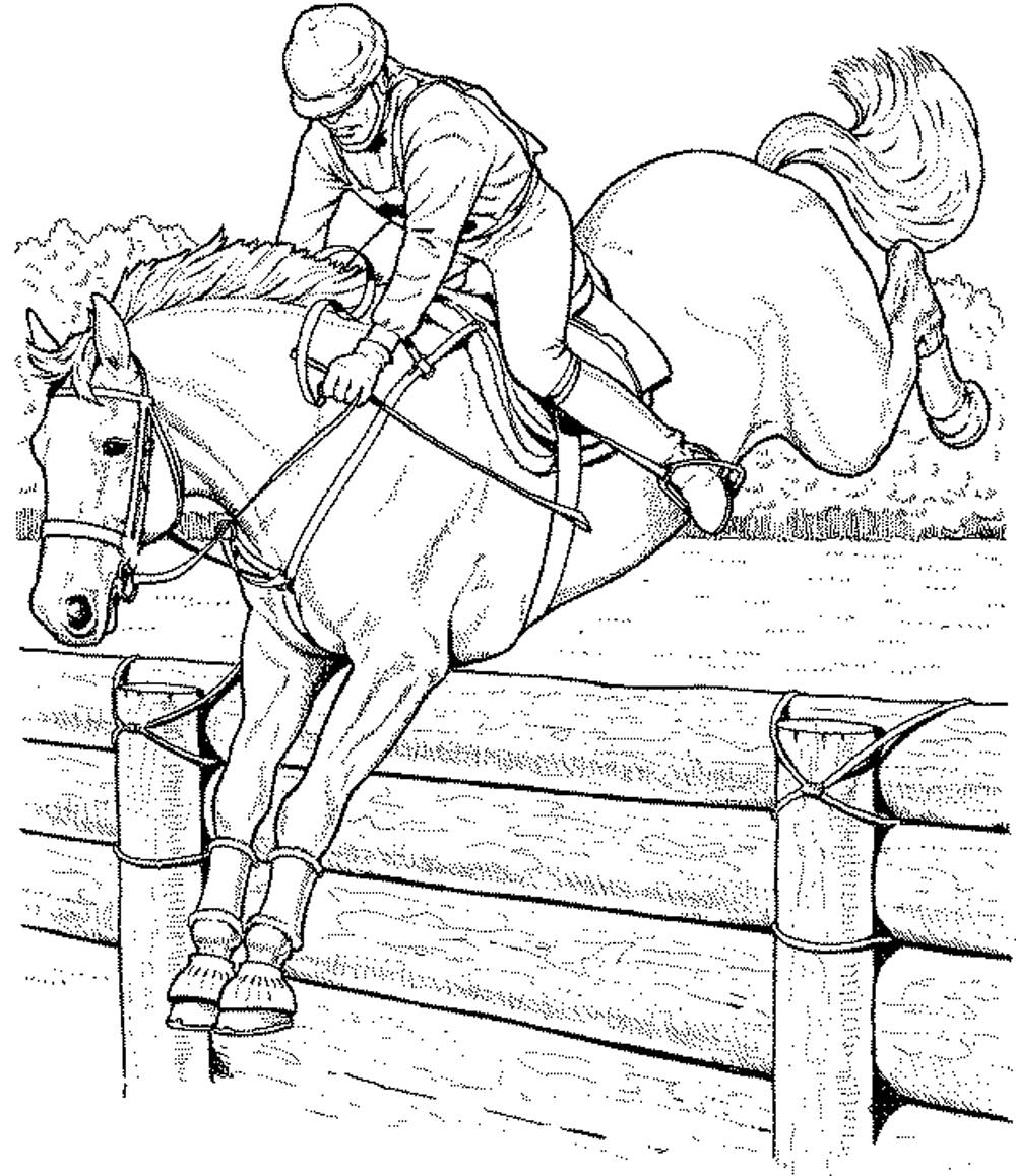 race horse coloring pages