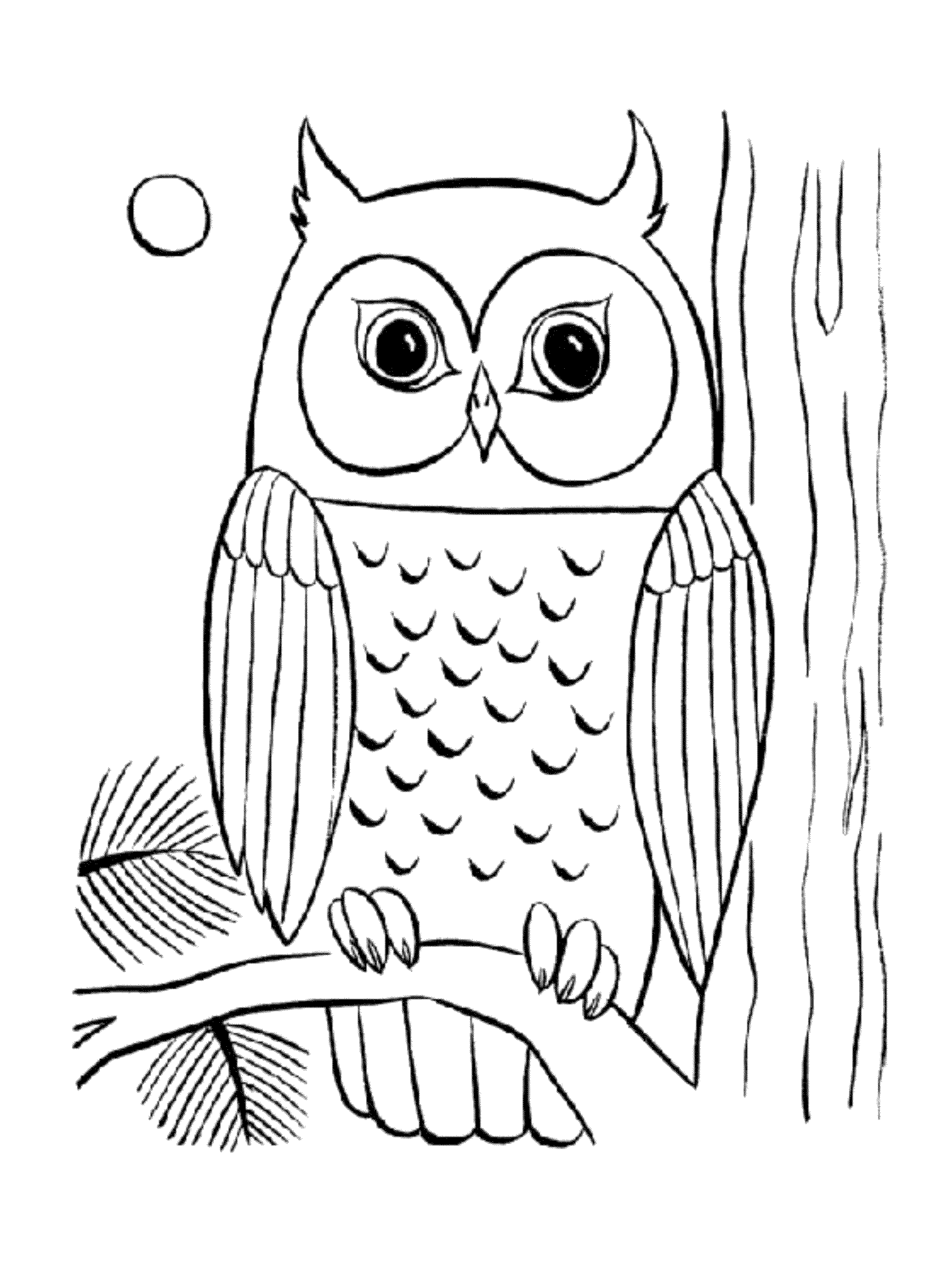 Simple owl coloring pages BestAppsForKids