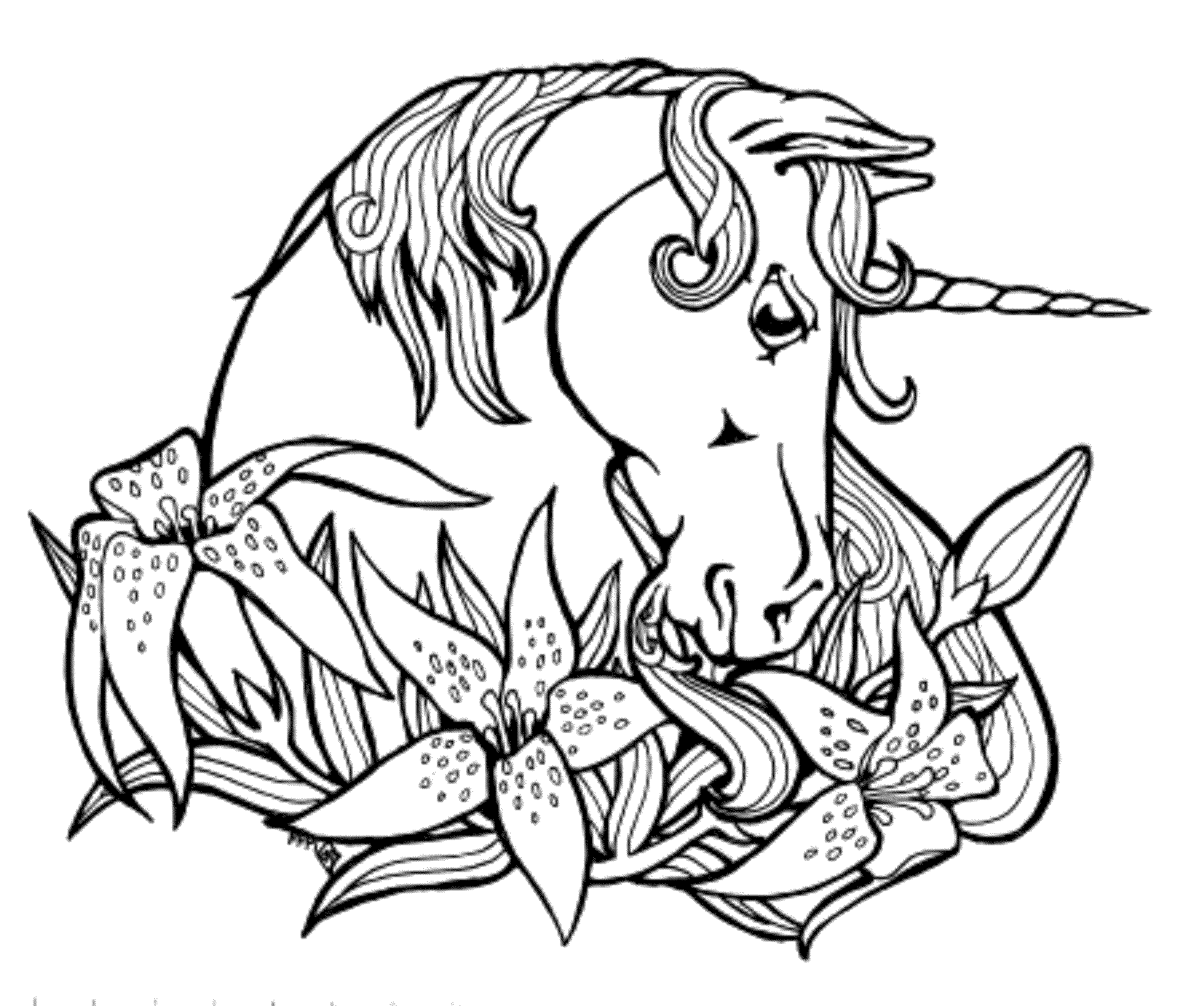 Unicorns - Free Colouring Pages