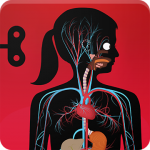 The Human Body by Tinybop