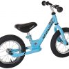 Schwinn Balance Bike Review