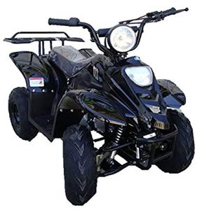 ATA-110B1 TaoTao Kids Gas 110cc Sport ATV