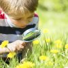 Top 10 Science Toys