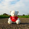 Top 10 Teddy Bears