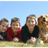 Top 10 Toys for 7 Year Old Boys