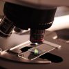 Top 10 Best Microscopes For Kids