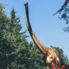 Top 10 Best Archaeology Toys For Kids