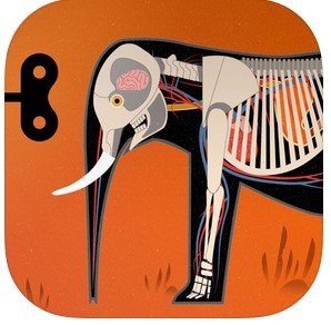 Mammals by Tinybop