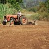 The Best Farming Simulation Games on iOS & Android